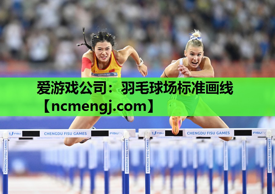 羽毛球场标准画线