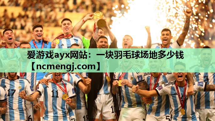 一块羽毛球场地多少钱
