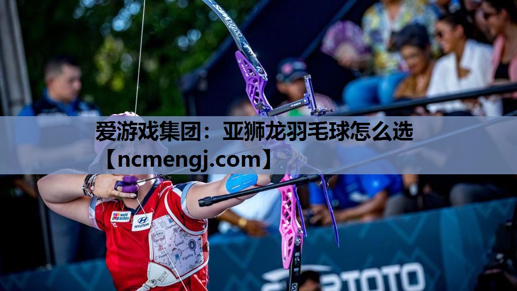亚狮龙羽毛球怎么选