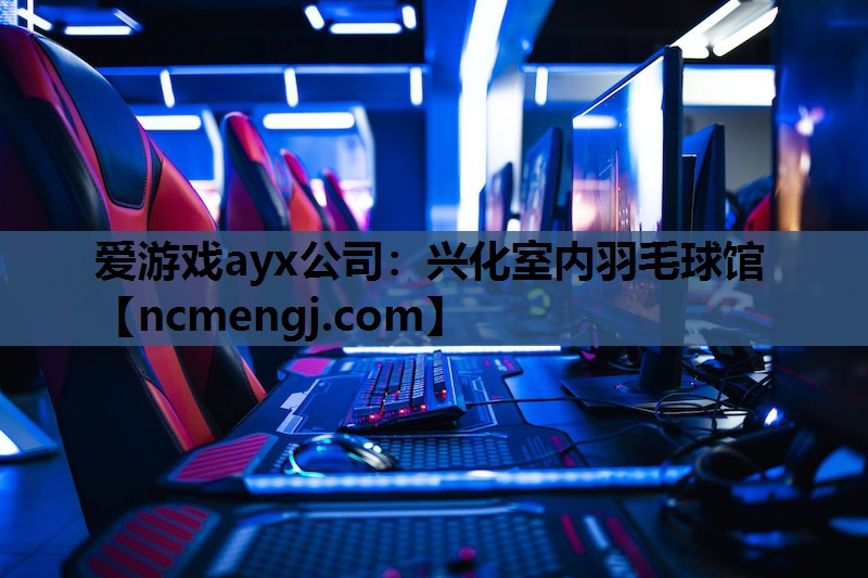 兴化室内羽毛球馆