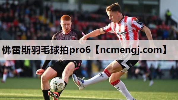 佛雷斯羽毛球拍pro6
