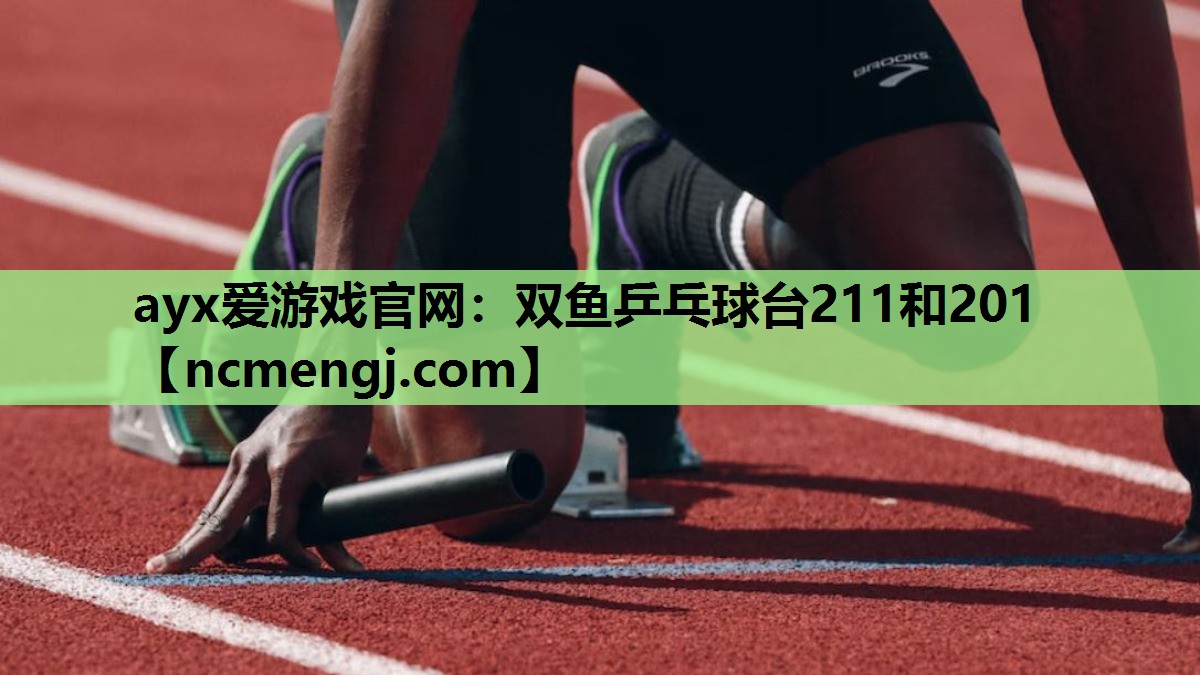 双鱼乒乓球台211和201