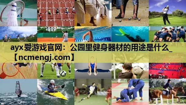公园里健身器材的用途是什么_