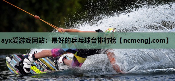 最好的乒乓球台排行榜