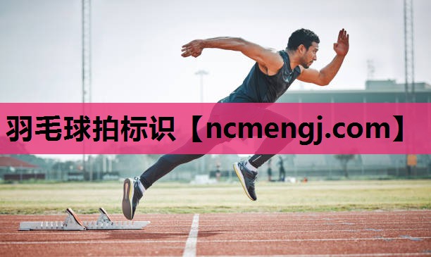 羽毛球拍标识