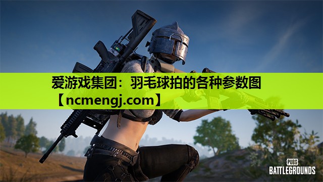 羽毛球拍的各种参数图