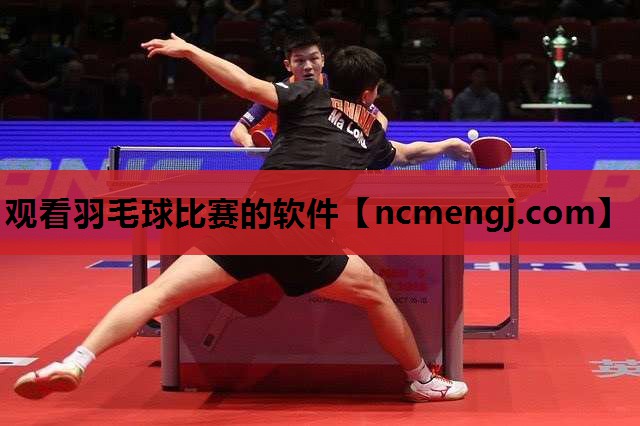 观看羽毛球比赛的软件