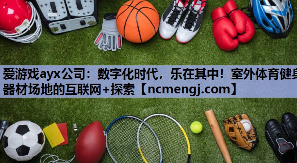 数字化时代，乐在其中！室外体育健身器材场地的互联网+探索