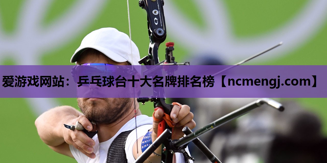 乒乓球台十大名牌排名榜