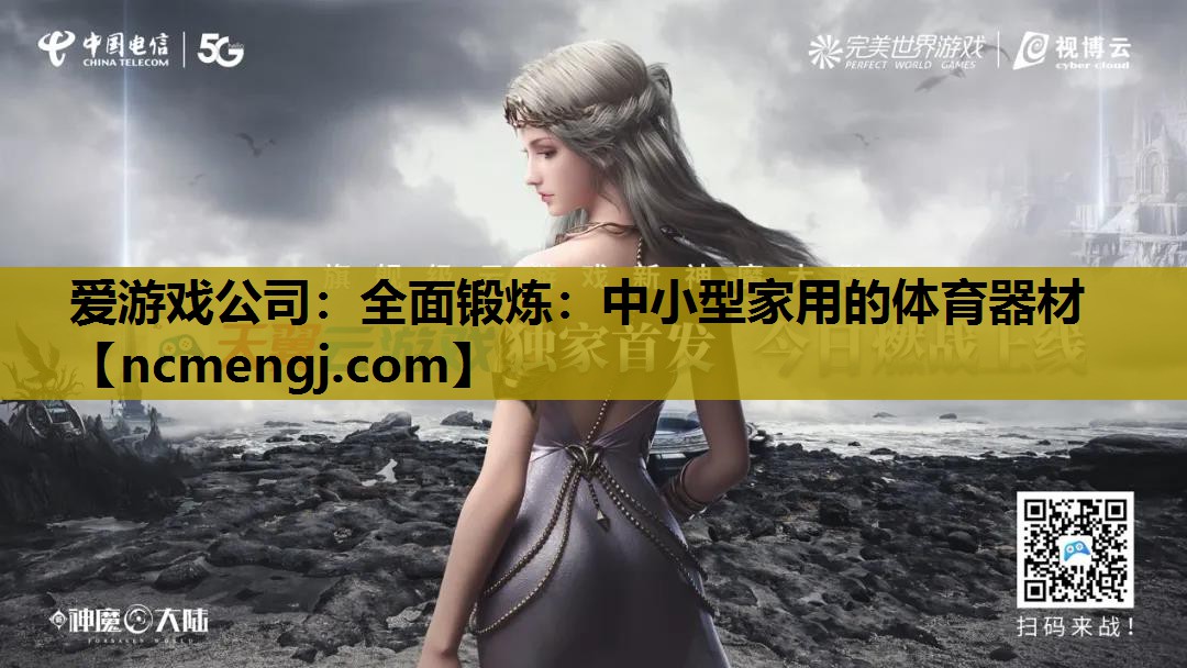 全面锻炼：中小型家用的体育器材