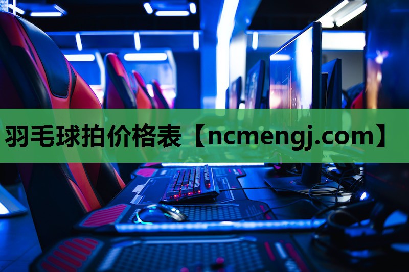 羽毛球拍价格表