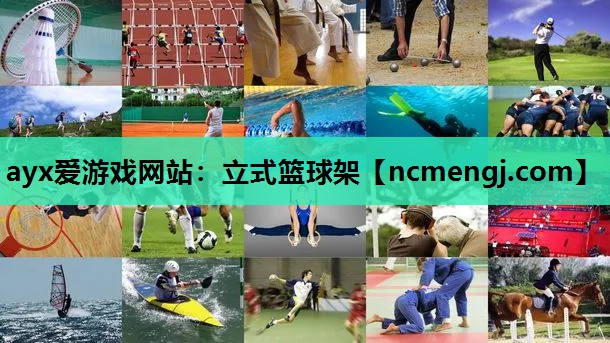 立式篮球架
