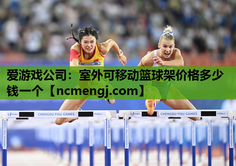 室外可移动篮球架价格多少钱一个