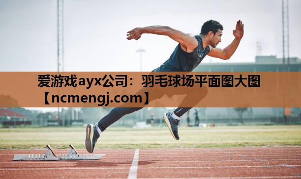 羽毛球场平面图大图