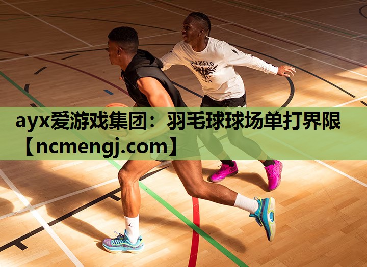 羽毛球球场单打界限