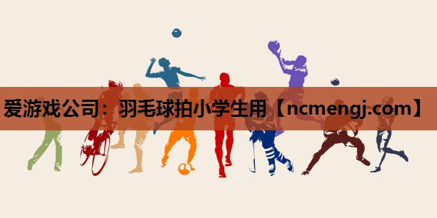 羽毛球拍小学生用