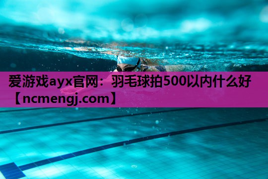 羽毛球拍500以内什么好