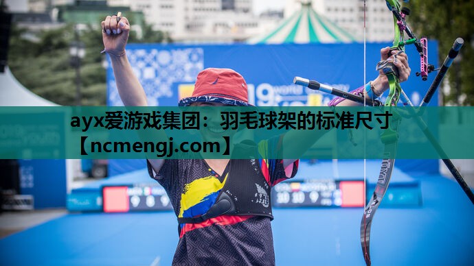 羽毛球架的标准尺寸
