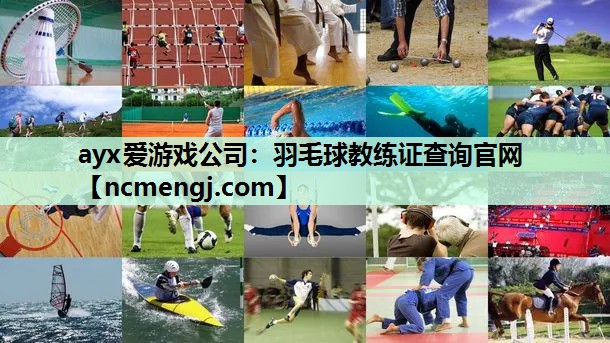 羽毛球教练证查询官网