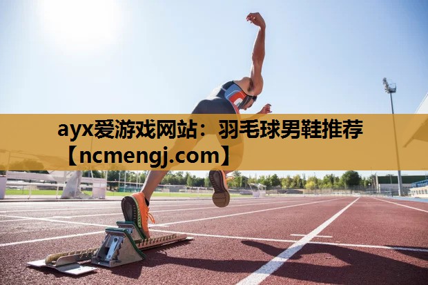 羽毛球男鞋推荐