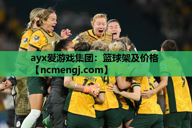 篮球架及价格