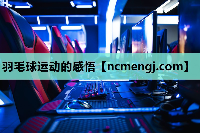 羽毛球运动的感悟